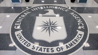 揭秘美国中央情报局（CIA）的神秘精神控制计划：深度揭示