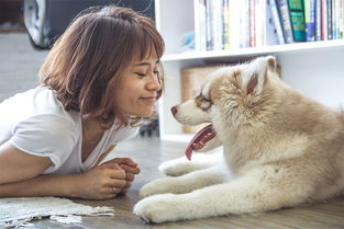 缅北地区男子被绑架致宠物犬受害！狗狗「挺身而出」守护家产安全