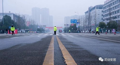 奉贤区打造全新心灵缓冲跑道，为孩子健康成长保驾护航