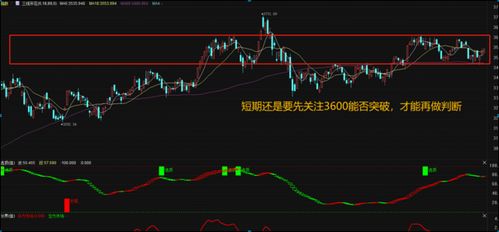 谭雅玲：预谋不改，FED缩表可能推动通胀压力加大，前瞻未来利率走势