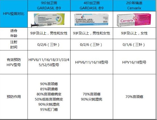 HPV疫苗采购价迈向百元时代，进口9价HPV疫苗市场价格已松动

如何提高你的专业素质