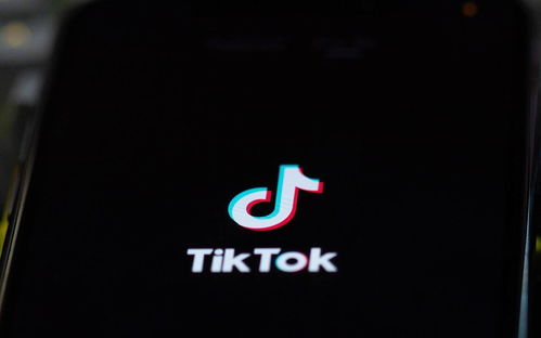 澳大利亚监管机构: TikTok无明显违反隐私法情况陈述