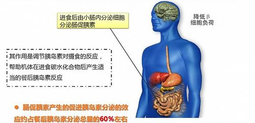 过度依赖网络减肥神药的风险及效果解析