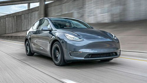 新款Model Y曝光：即将与Model 3并驾齐驱，预计年内上市