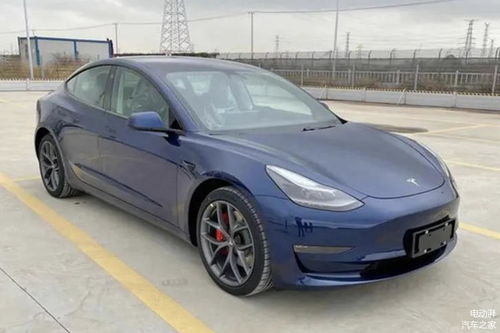 新款Model Y曝光：即将与Model 3并驾齐驱，预计年内上市