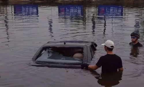 惊人之举：孩子落水，司机紧急刹车，毫不犹豫纵身跳下救出小生命