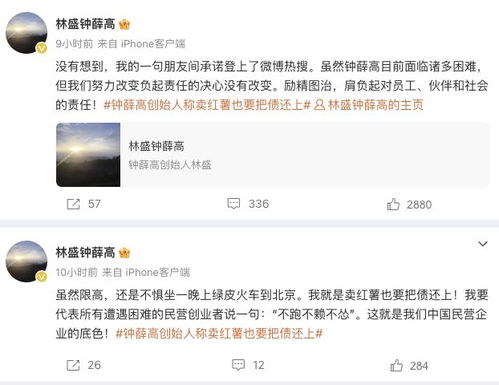 钟薛高创始人身负巨额债务却低价出售五斤红薯，网友：为何无人购买？