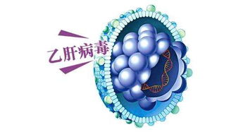 科学家揭示：乙型肝炎的新威胁，正在被严密监控