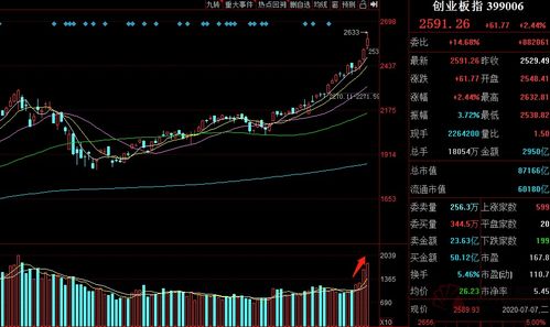 深度解析！A股公司持续跌停背后的可能原因及投资者需注意的事项