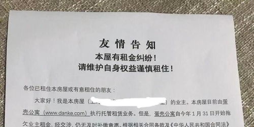 多重压力下房东与租户矛盾加剧：被迫调整合同条件的案例解析