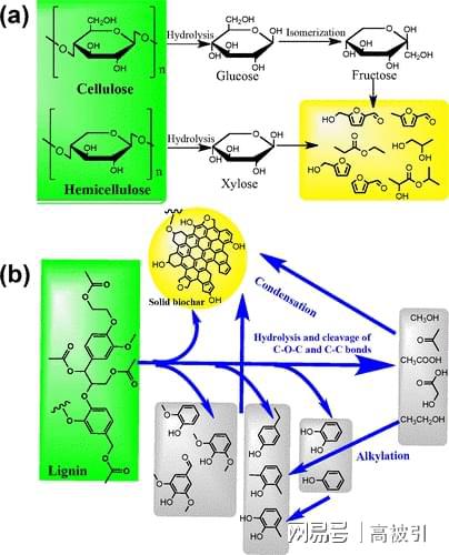 中国科学家发现新方法，将木质纤维素转化为高效、优质且可再生的生物能源