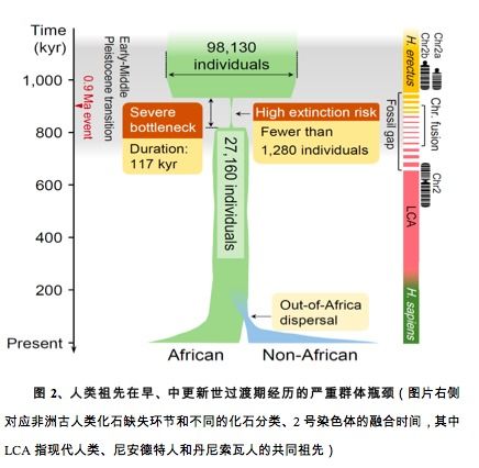 中国科学家发现新方法，将木质纤维素转化为高效、优质且可再生的生物能源