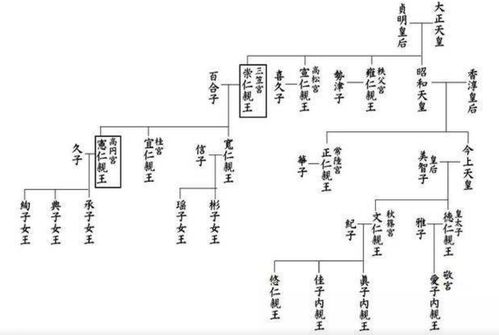 明朝忻城伯爵位世系图：揭秘皇室神秘背景