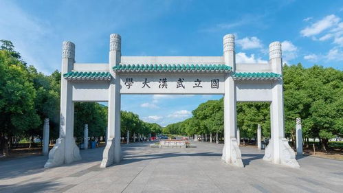 武汉大学回应：无法代表全体武大选调生离职情况