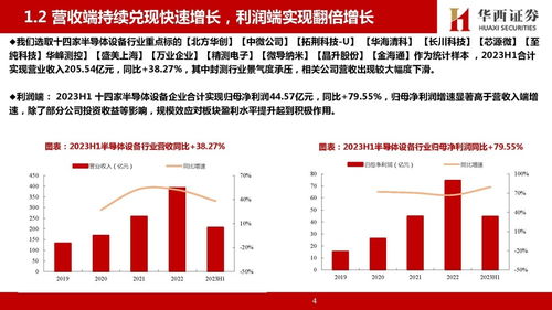 半导体板块投资策略：把握高增长的机遇