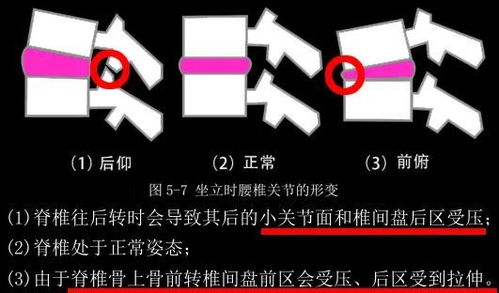 国铁集团宣布高铁座椅套换洗时间：180天一次性更换完毕

优化后的国铁集团发布换洗提醒：高铁座椅套180天内需进行一次全面更换