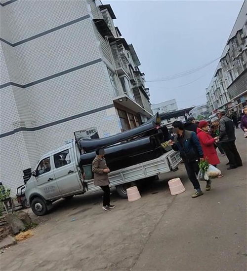 河南息县正阳大规模农田夜间焚烧，当地政府回应：严禁此类行为