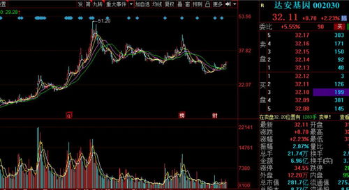 被忽视的潜力股：深度解析