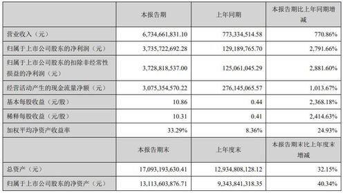 被忽视的潜力股：深度解析