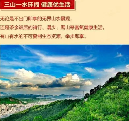 揭秘妮基-黑利与俄罗斯、伊朗勾结的‘大计划’背后的真相