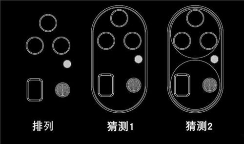 中方代表团专家确认：参加新加坡香料大会并非引发争端的直接原因