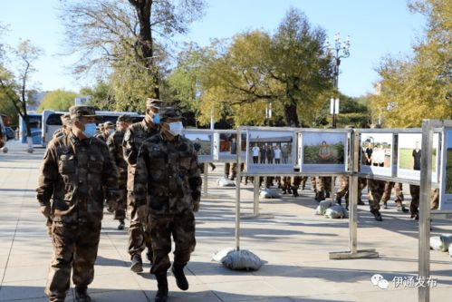 1800余基干民兵集中点验，重庆大足区全面展开军事训练工作