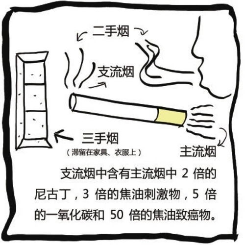 二手烟与三手烟：了解和保护你的健康