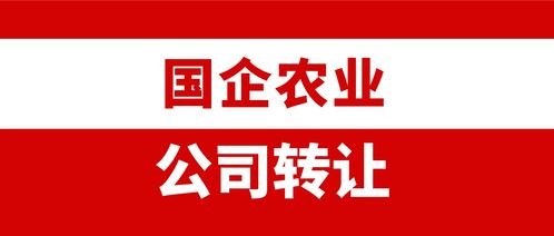 海南国资欲大手笔20亿元举牌华铁应急 拟50亿‘红包’助力资本扩张