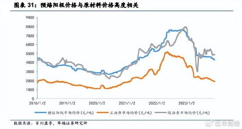 龙头公司解析：国内唯一上市企业或将迎来底部反转