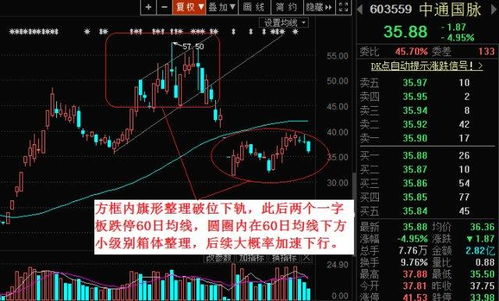 龙头公司解析：国内唯一上市企业或将迎来底部反转