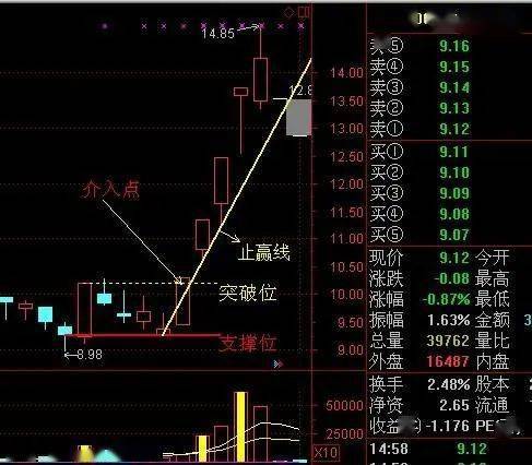 龙头公司解析：国内唯一上市企业或将迎来底部反转