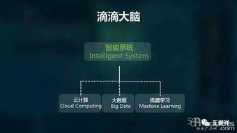 孙楠互联网口碑：原因剖析与未来发展展望