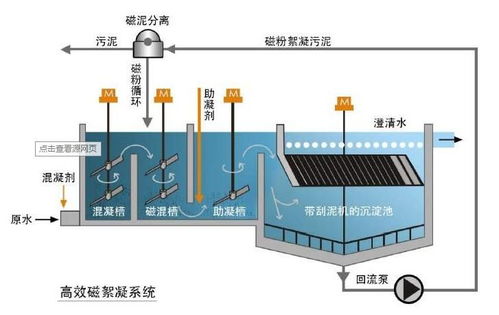 科学家揭示水体絮凝机制，助你提升饮用水安全与污水处理效果