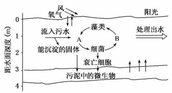 科学家揭示水体絮凝机制，助你提升饮用水安全与污水处理效果