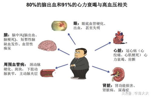 慢性肾病患者如何正确选择降压药与用药注意事项