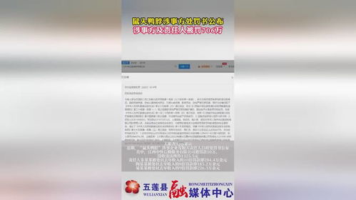 鼠头鸭脖事件涉事方被罚348万，累计罚款超千万：详细情况解析