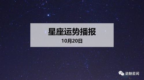 2024年10月20日十二星座每日运势