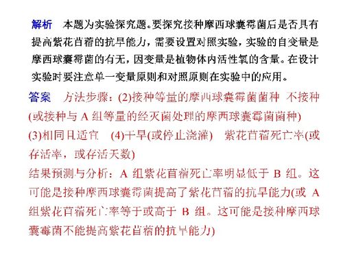 科学家探索AI翻译动物对话：揭示人类语言并非独一无二的谜团