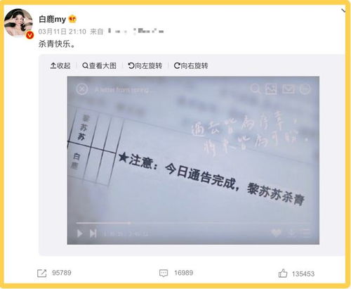 白鹿的精彩表演彻底打败了所有人——揭秘这次失败的原因与应对策略