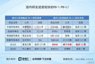 康宁杰瑞明星抗癌药跌超九成，市值再次遭遇挫折