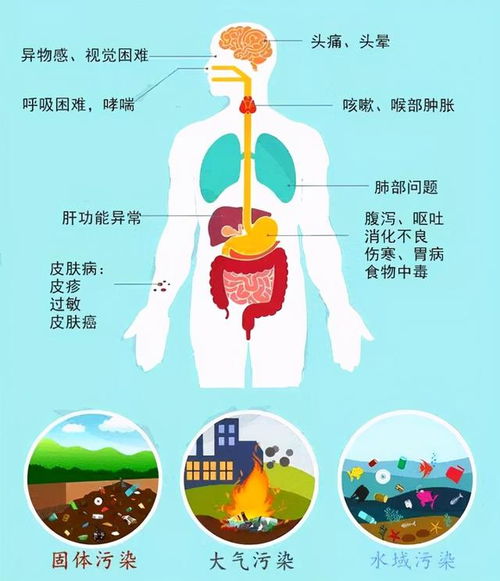 探寻男性不育之源：剖析微塑料与健康之间的关联