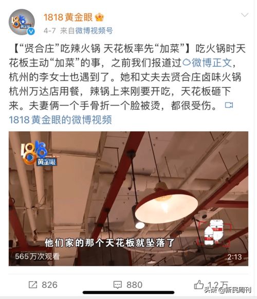 金晨辟谣抢叶灵儿：并非我抢夺，命运自有安排！网友：如此狂妄之举，实令人尴尬！