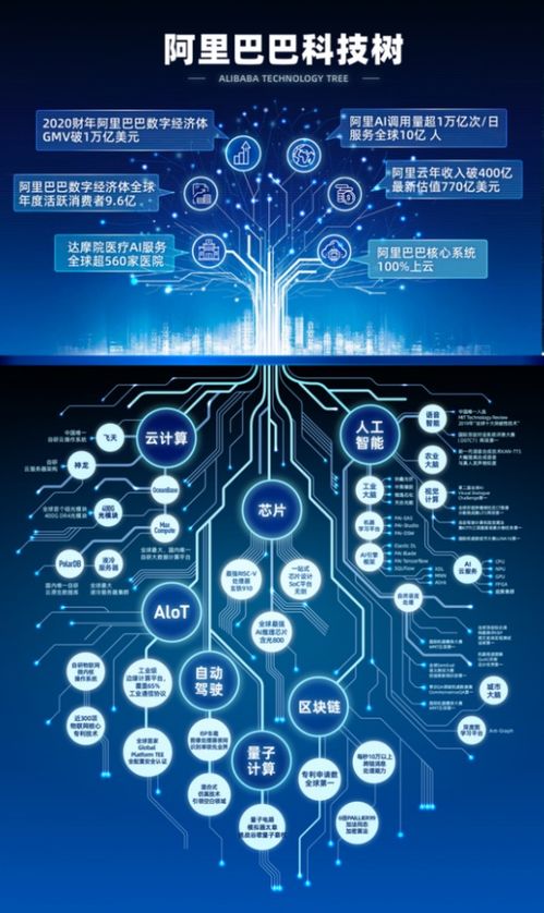 阿里大模型背后的细节与价值：探讨其面子与里子