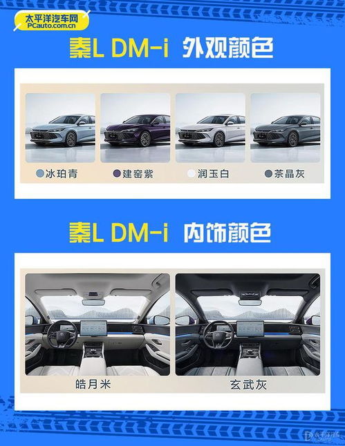 比亚迪秦L DM-i 超越型与领先型推荐：购车指南