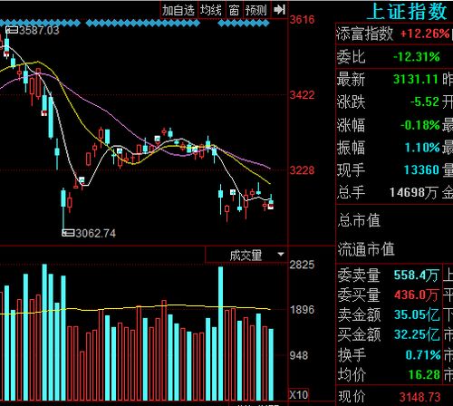 权重股分化，五月底部反弹将成主旋律：展望六月行情，科技股有望成为主线