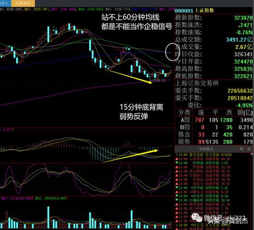 权重股分化，五月底部反弹将成主旋律：展望六月行情，科技股有望成为主线