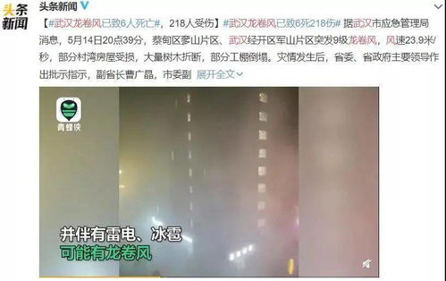 极端高温：如何预防社区健康风险？气候变化下指南

应对极端高温：应对气候变化下的社区健康风险与防范手册