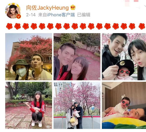 向佐儿童节晒全家福，把妻儿宠成小朋友，一双儿女继承郭碧婷颜值