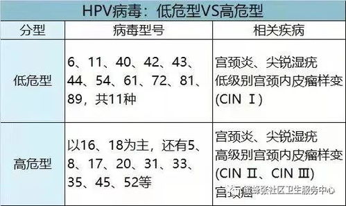 防止世界末日！HPV阳性≠危险，掌握这5种预防方法和疫苗接种，早发现、早治疗！