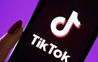 创新驱动下，美国版TikTok调整算法，尝试复制 TikTok 分离系统